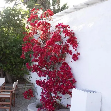 Petit Andromeda Mykonos I Apart-hotel 3*