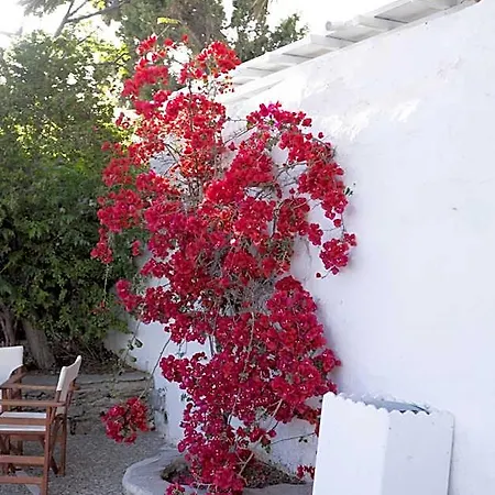 Petit Andromeda Mykonos I 4*