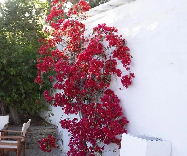 Petit Andromeda Mykonos I Апарт-отель 3*